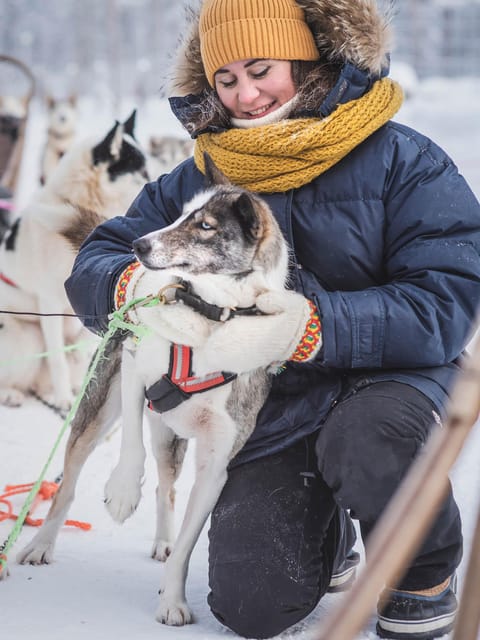 Levi: Guide-driven Husky Safari - What this Levi husky safari really offers
