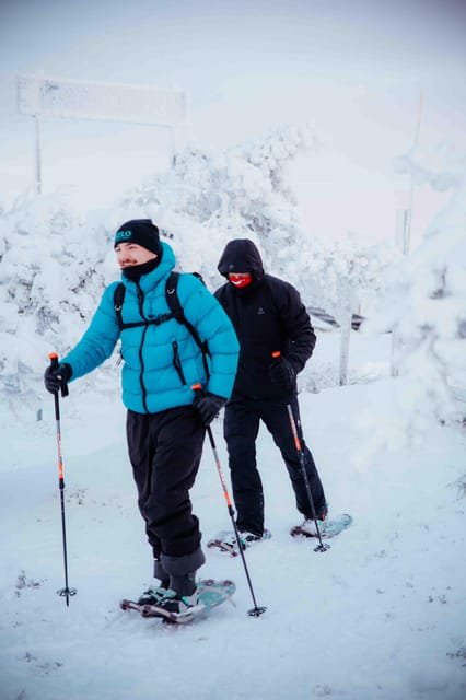 Levi: Guided Snowshoeing Adventure - Leaving Levi for a quieter Lapland