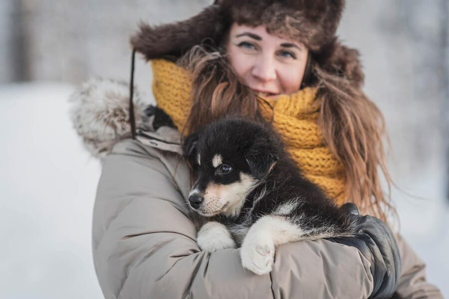 Levi: Horse and Husky Farm Visit with Juice and Cookies - Key points to know before you go