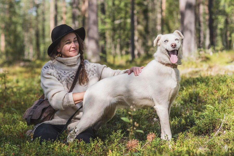 Levi: Horse and Husky Farm Visit with Juice and Cookies - Finnish horses with a quieter character