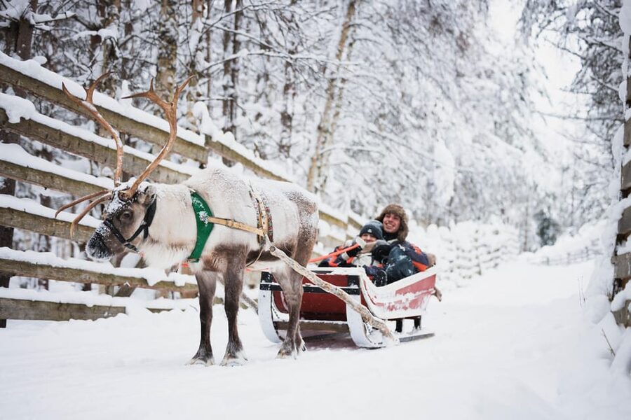 Levi: Husky and Reindeer Farm Visit with Snowmobiling - A smart first taste of Lapland