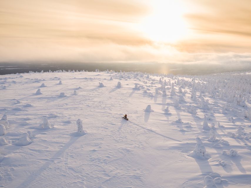 Levi: Ice Fishing by Snowmobile - Snowmobile tracks through Levi’s Arctic forest