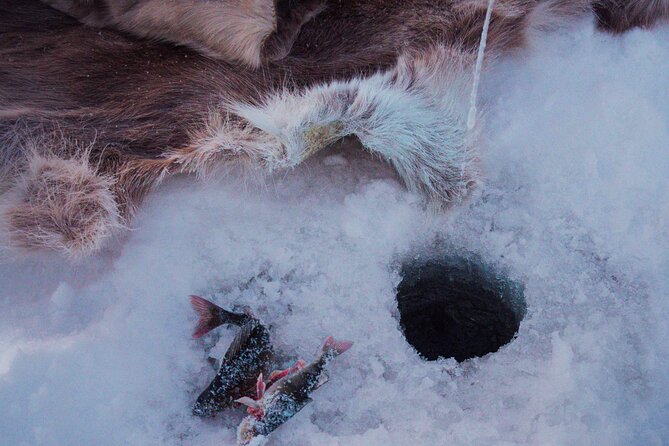 Levi Ice Fishing Experience in the Wild with Campfire Treats - Is $265 good value for three hours?
