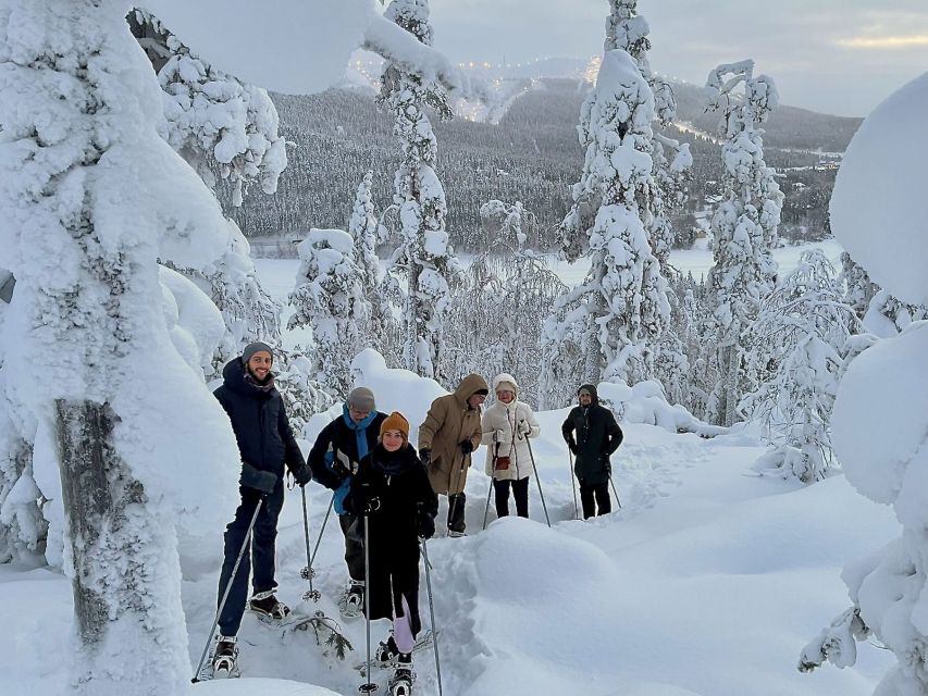 Levi: Lakeside forest snowshoeing - Key points about the Levi snowshoe walk