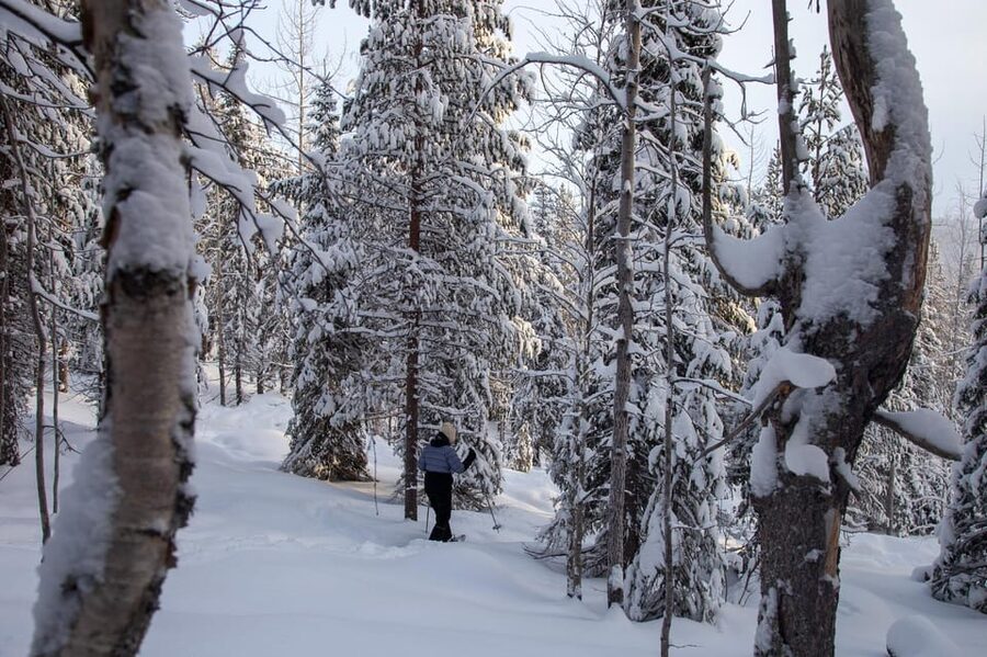 Levi: Lakeside forest snowshoeing - Starting at Levi Tourist Information