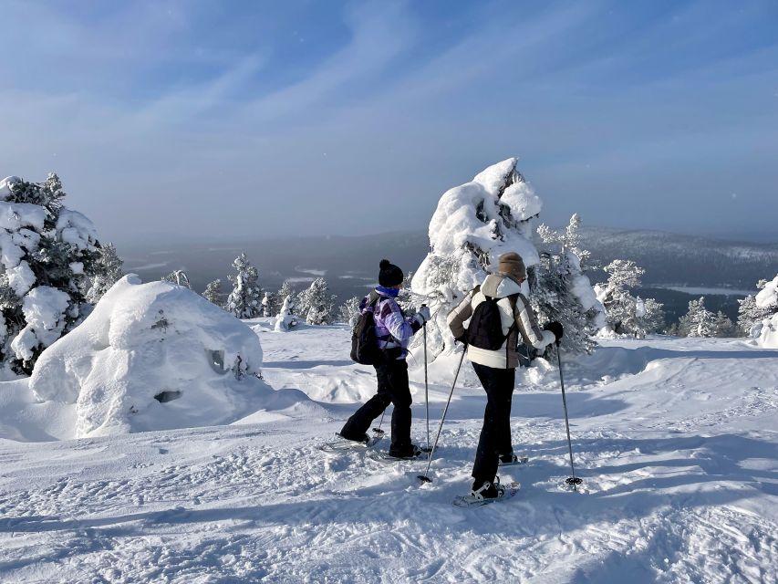 Levi: Lakeside forest snowshoeing - Gentle walking, with a few uphill sections
