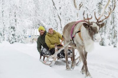 Lapland Reindeer and Husky Safari
