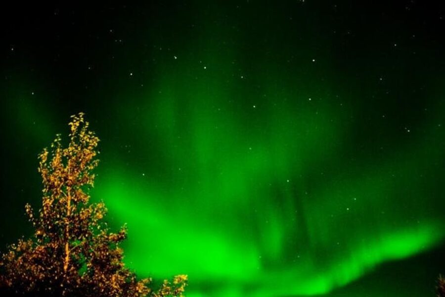 Levi: Northern Lights Hunt Including Campfire Snacks - Local myths make the waiting worthwhile