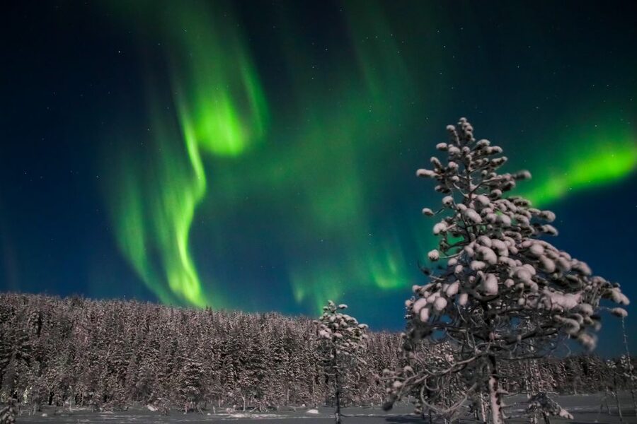 Levi: Northern Lights Hunting Photo Tour - Camera help that is useful after dark