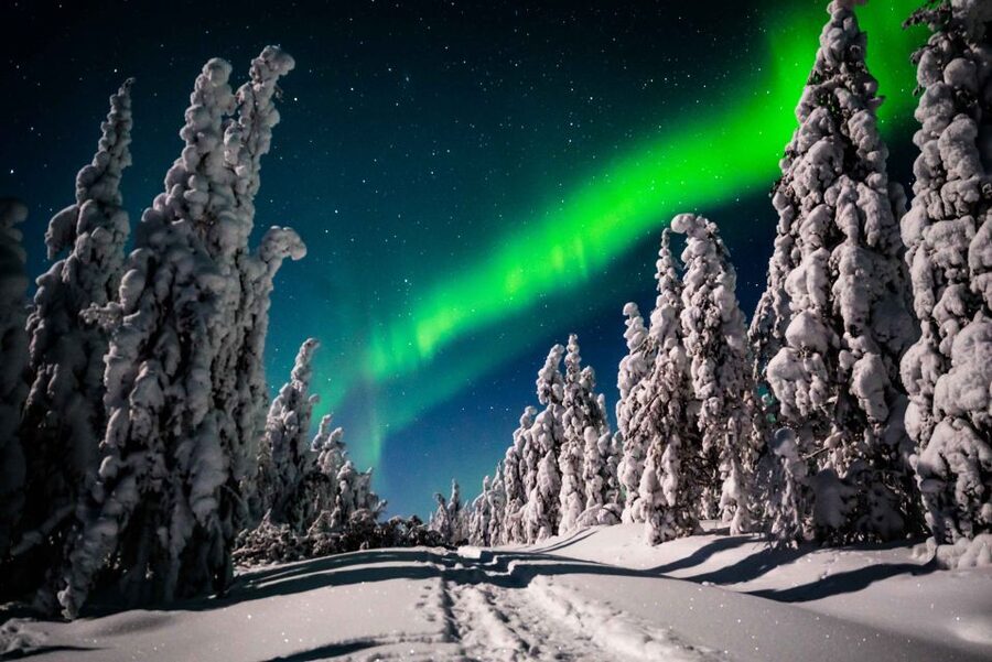 Levi: Northern Lights Hunting - Photography Tour - The risk of seeing nothing