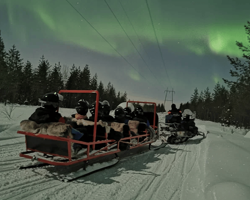 Levi: Northern Lights Sledge Ride - Key points to know before booking