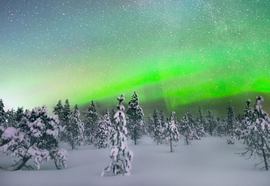 Levi: Northern Lights Snowmobile Tour with Snacks and Drinks - The secret stop, fire, sausages, and hot juice