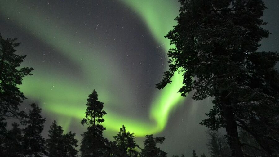 Levi: Northern Lights Snowmobile Tour with Snacks and Drinks - Looking for the Northern Lights without false promises