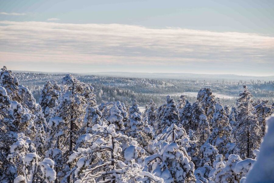 Levi: Pallas National Park Adventure with Pro Photos & BBQ - What the small group really means