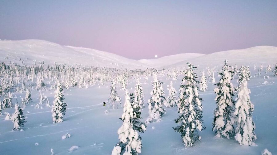 Levi: Pallas National Park Adventure with Pro Photos & BBQ - Walking through snowy forests and frosty fells