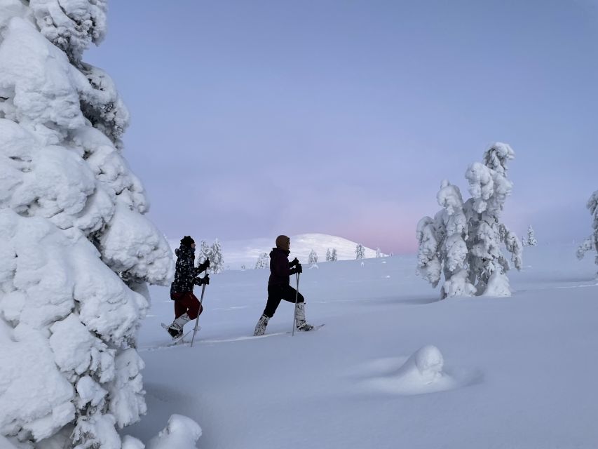 Levi: Pallas-Yllästunturi National Park Snowshoeing Tour - Leaving Levi for the quiet of Pallas