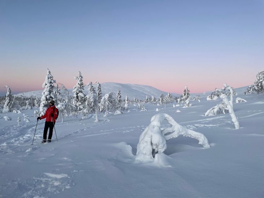 Levi: Pallas-Yllästunturi National Park Snowshoeing Tour - A one-hour campfire lunch in a warm hut