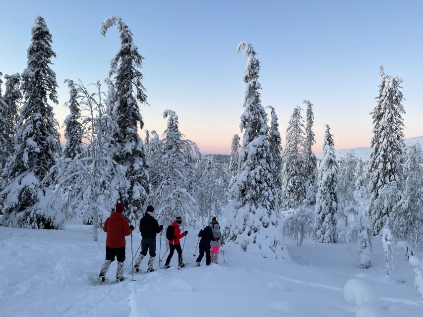Levi: Pallas-Yllästunturi National Park Snowshoeing Tour - Final verdict: a calm, well-balanced Lapland outing