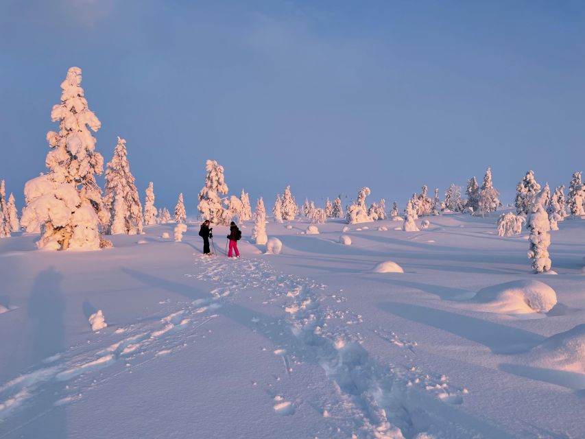 Levi: Pallas-Yllästunturi National Park Snowshoeing Tour - FAQ