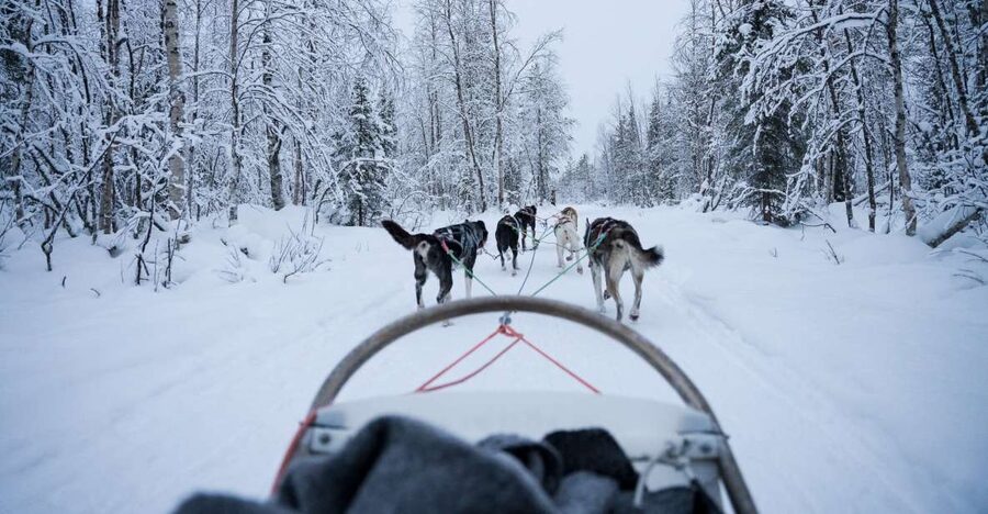 Levi Polar Lights Tours: Arctic Circle Guided Husky Tour - Key details before you book