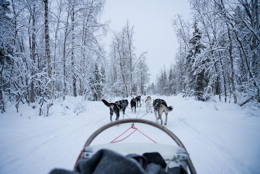 Levi Polar Lights Tours: Arctic Circle Guided Husky Tour - Clothing, comfort, and timing