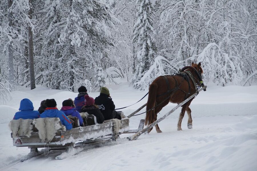 Levi, Polar Lights Tours: One Horse Open Sleigh Ride - Key Points Before You Book
