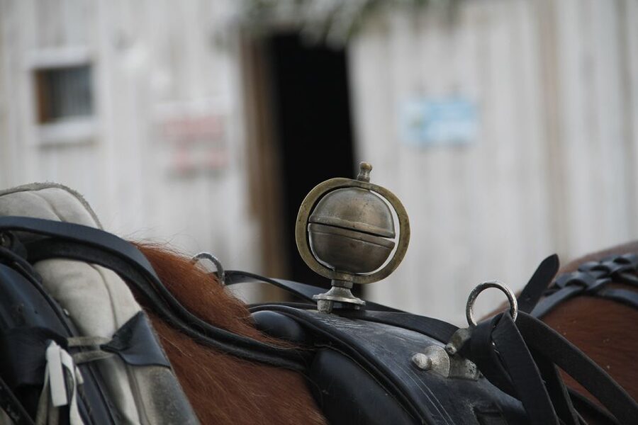 Levi, Polar Lights Tours: One Horse Open Sleigh Ride - A Horse, a Sleigh, and Lapland After Dark