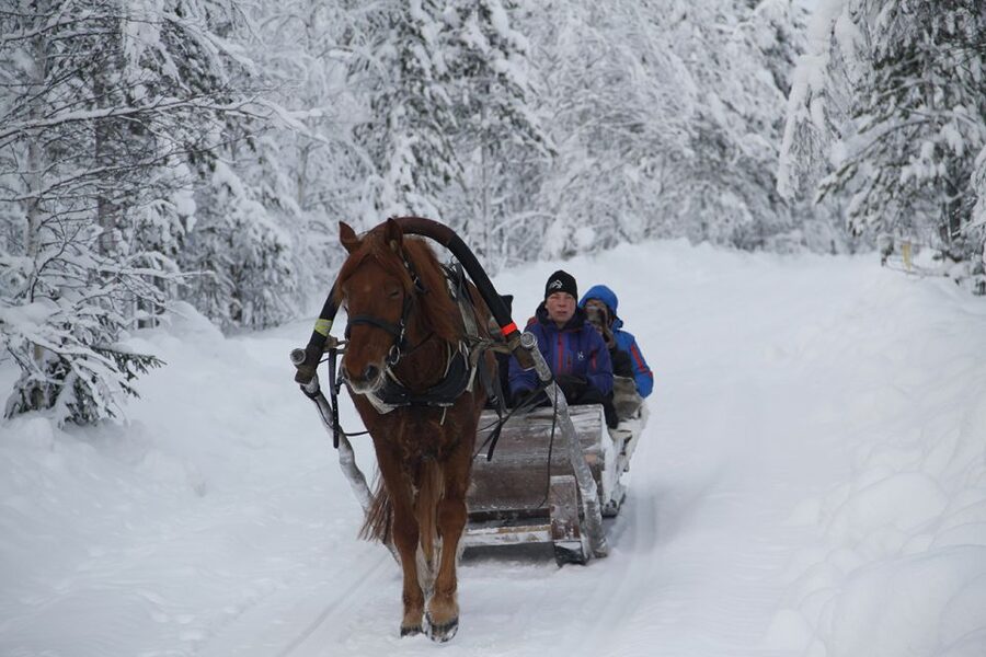 Levi, Polar Lights Tours: One Horse Open Sleigh Ride - The Five-Minute Safety Briefing