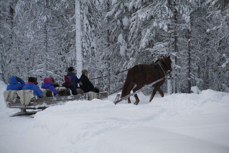Levi, Polar Lights Tours: One Horse Open Sleigh Ride - Northern Lights: A Possible Bonus, Not the Main Plan