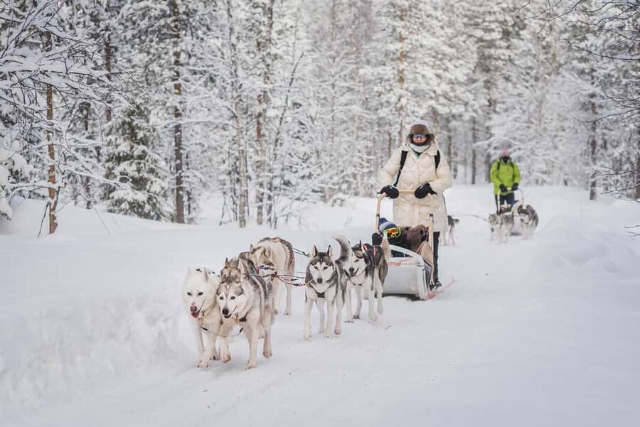 Levi Polar Lights Tours: Path of the Gnome Husky Safari 15km - Learning to drive a husky sled