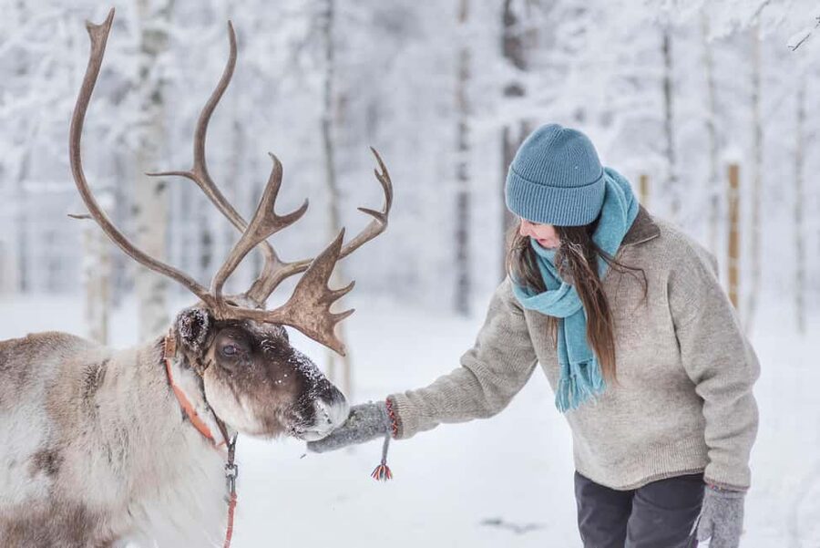 Levi Polar Lights Tours: Reindeer and Husky Taster - The 10-Minute Safety Briefing