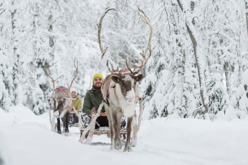 Levi: Reindeer Experience with Sled Ride - Key points to know before you book