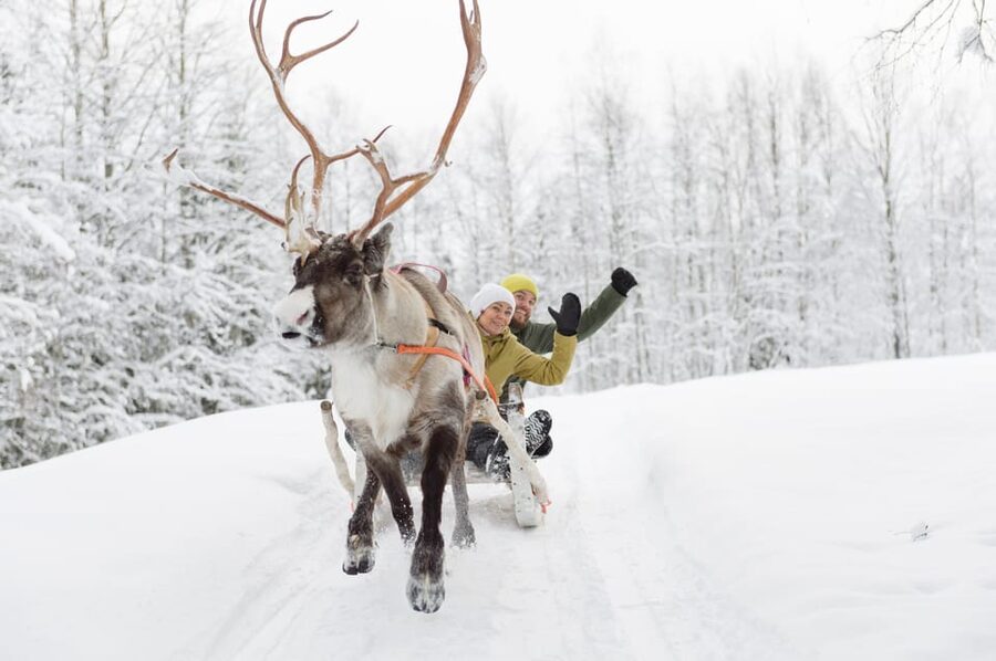 Levi: Reindeer Experience with Sled Ride - Who will enjoy this experience most