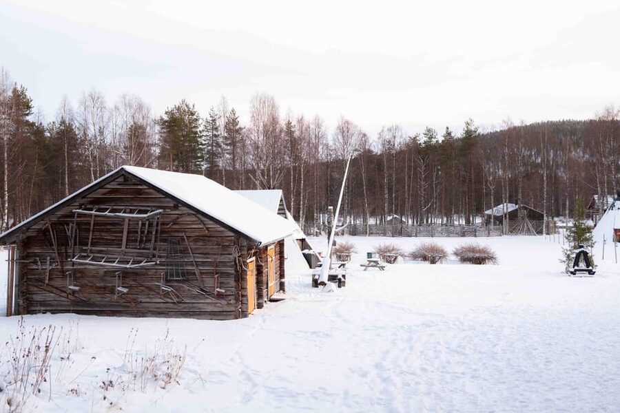 Levi: Reindeer Farm E-Fatbike Safari - Starting at Kelo Rental & Safaris in Levi