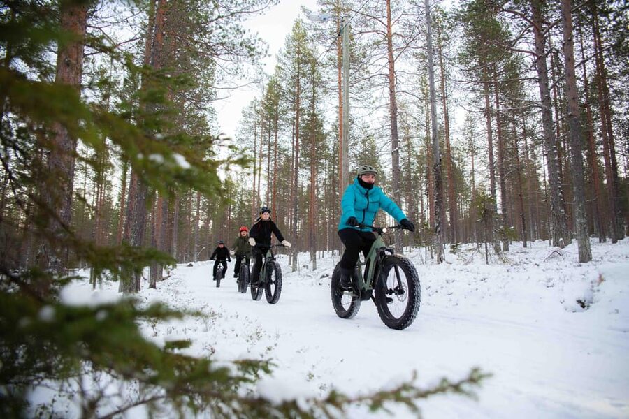 Levi: Reindeer Farm E-Fatbike Safari - Snowy scenery without a motorized rush