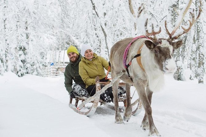 Levi Reindeer Safari - Long or Quick - with Sledge Ride - Guide service and group size