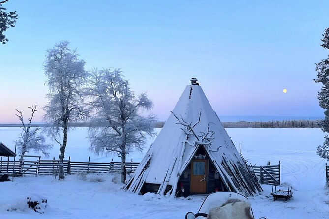 Levi Reindeer Safari - Long or Quick - with Sledge Ride - The farm visit: younger reindeer and local routines