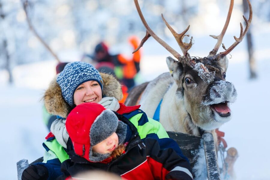 Levi: Reindeer Sleigh Ride Tour in Snowy Forest - The campfire stop adds warmth and context