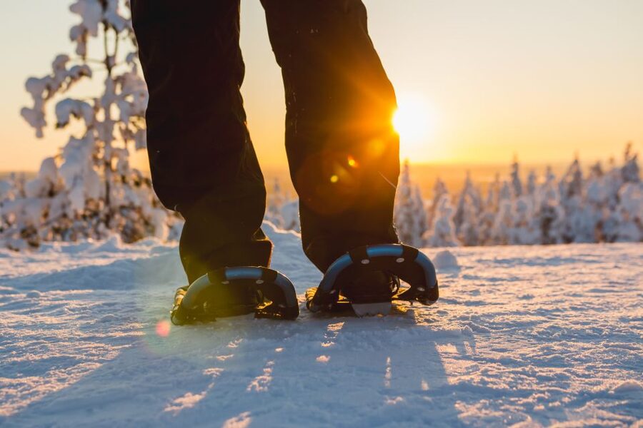 Levi: Scenic Levi Snowshoe Trip - Key points to know before you book