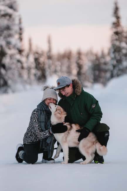 Levi: Self-Drive 2 KM Husky Sledding Experience - Reaching the husky farm outside Levi