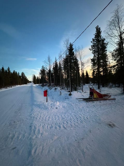 Levi: Self-Drive 2 KM Husky Sledding Experience - Should you book the Levi self-drive husky experience?