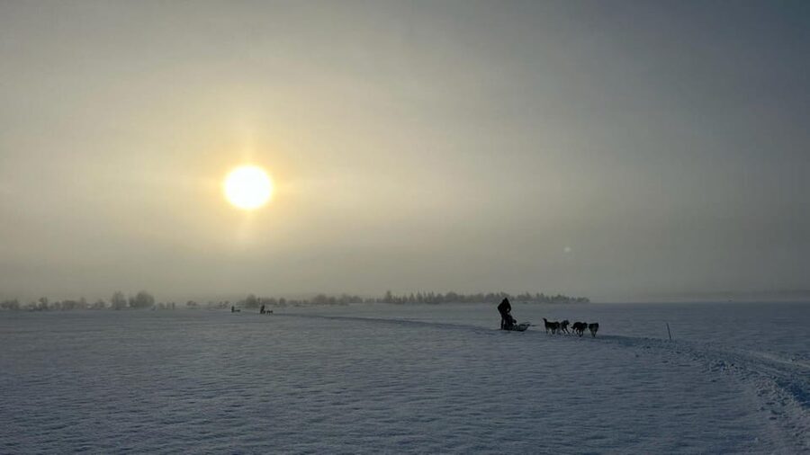 Levi: Self-Drive 5 KM Husky Sledding Experience - Key points at a glance