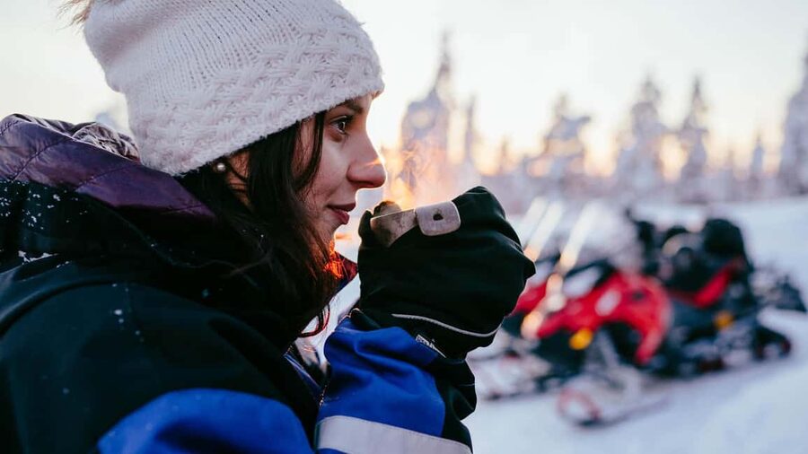 Levi: Snowmobile Safari to the Levi Nature - Your first lesson on the snowmobile
