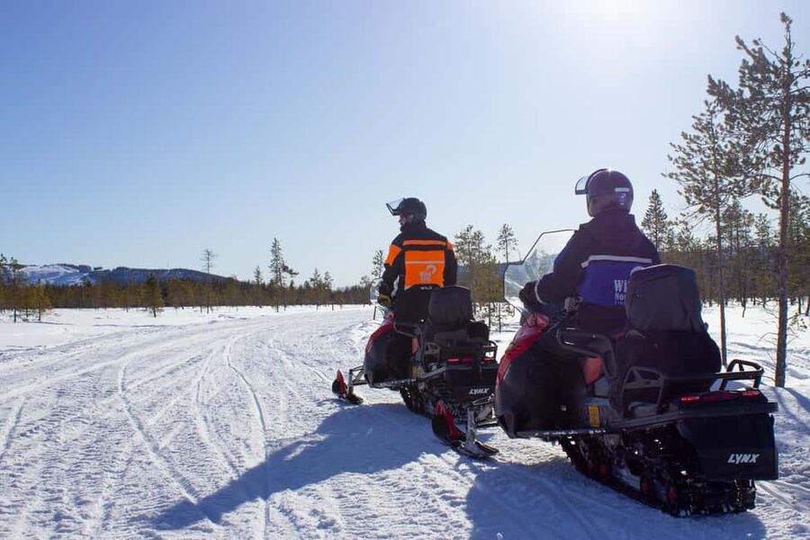 Levi: Snowmobile Safari to the Levi Nature - Frozen lakes, forests, and photo stops