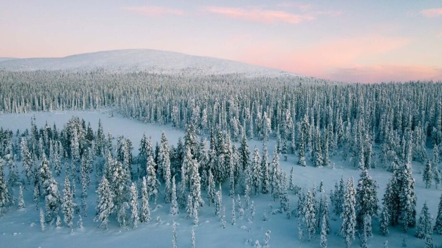 Levi: Snowshoe Adventure in the Wilderness - Practical Booking Advice for Levi