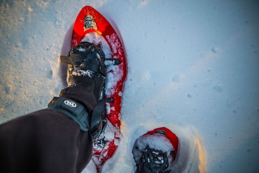 Levi: Snowshoe Adventure in the Wilderness - Entering the Arctic Forest on Snowshoes