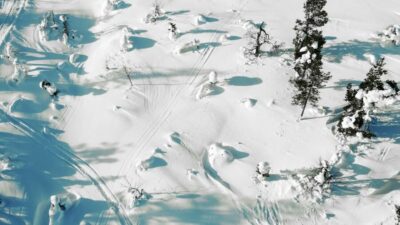 Snowshoe Adventure in the Wilderness