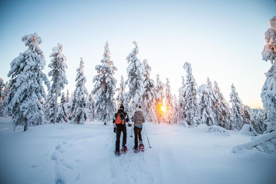 Levi: Snowshoe Adventure in the Wilderness - Photo Stops With Time to Learn