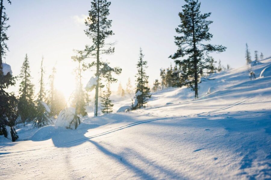 Levi: Snowshoe Adventure in the Wilderness - Is $105 a Fair Price?