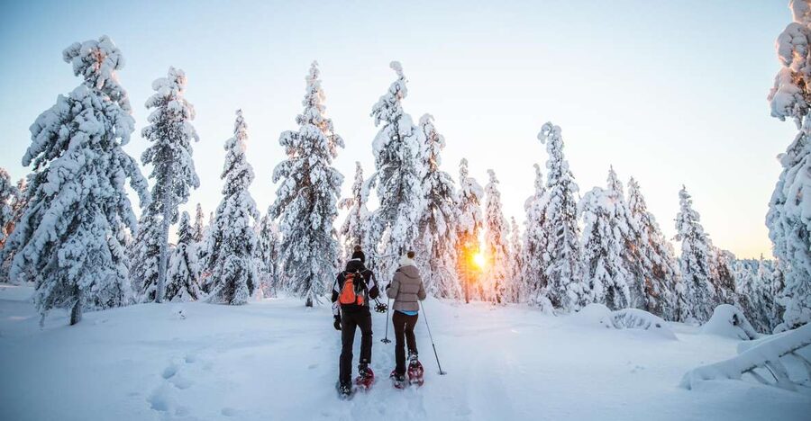 Levi: Snowshoe Adventure in the Wilderness - Who Should Book This Arctic Walk?